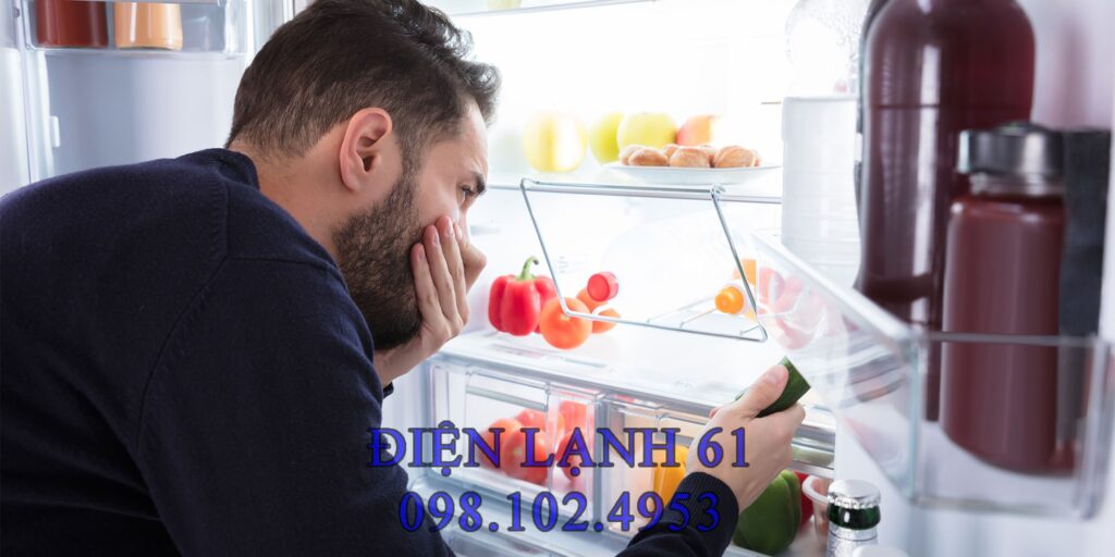 Hộp đựng thức ăn được đậy kín để ngăn mùi lan ra tủ Hộp đựng thức ăn được đậy kín để ngăn mùi lan ra tủ