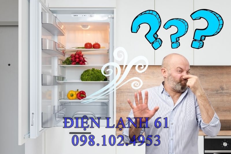 Kiểm tra mùi hôi từ tủ lạnh Kiểm tra mùi hôi từ tủ lạnh