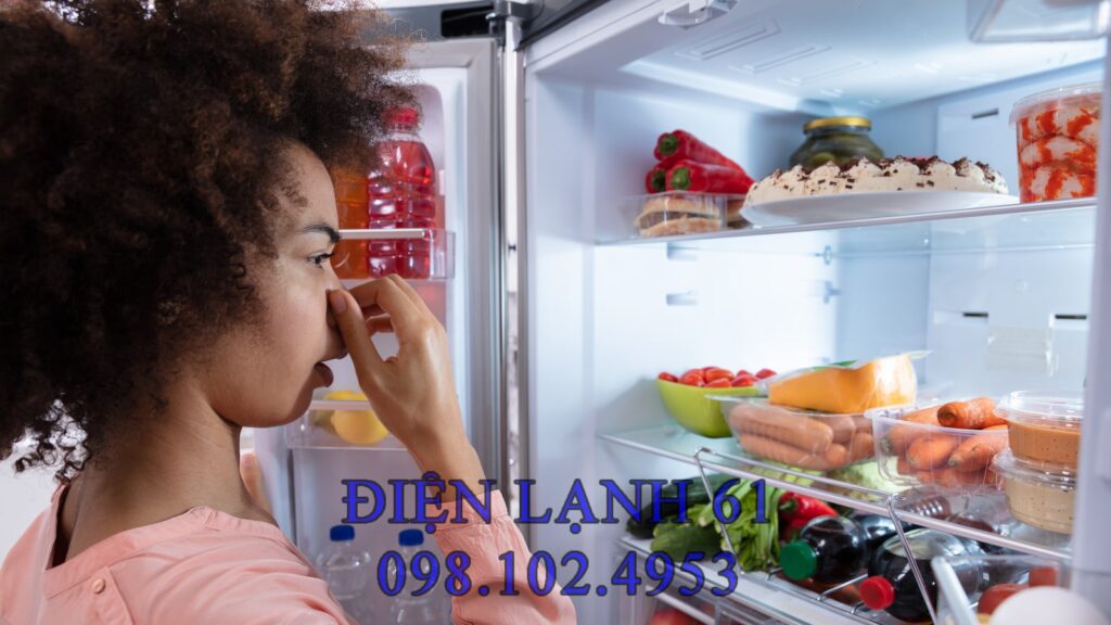 Tủ lạnh bị bốc mùi hôi do thực phẩm hỏng để lâu Tủ lạnh bị bốc mùi hôi do thực phẩm hỏng để lâu