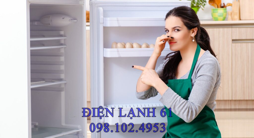 cách khử mùi tủ lạnh bằng baking soda