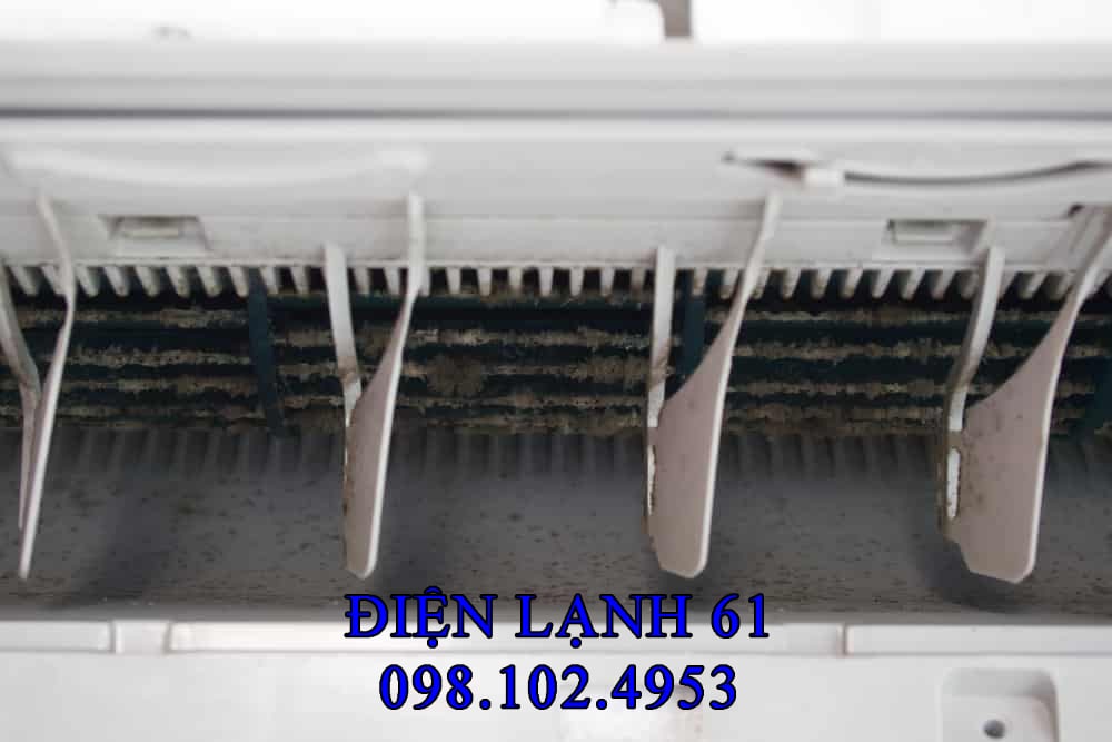 Dàn lạnh điều hòa bị nấm mốc do tắc ống thoát nước
