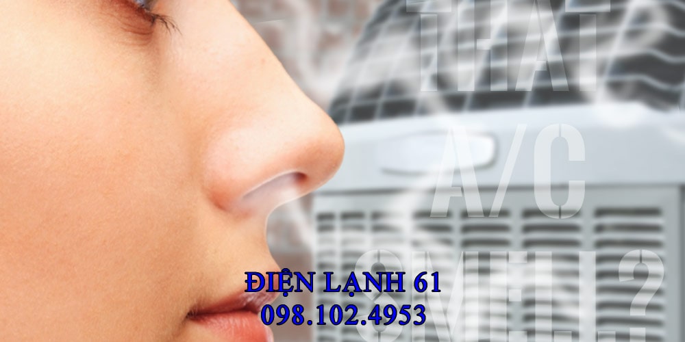 Nấm mốc trong máy lạnh ảnh hưởng không khí