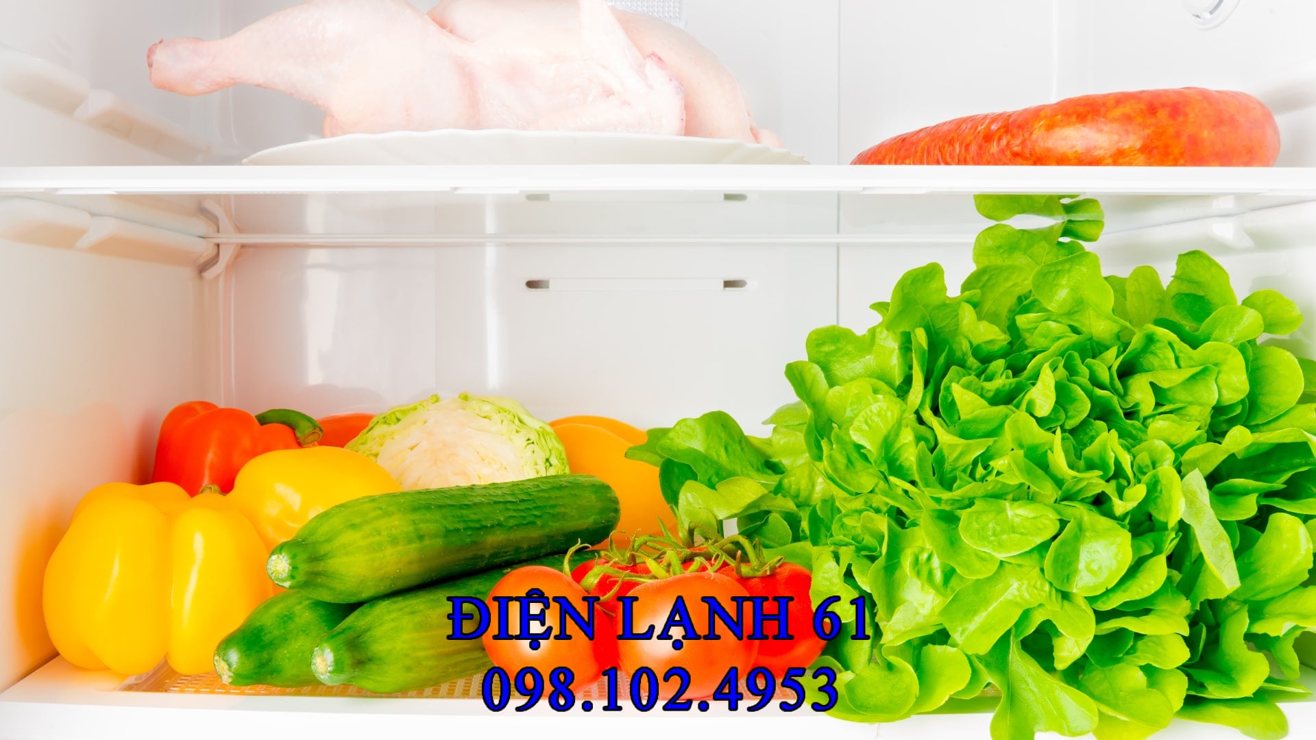 Thực phẩm mới được cho vào tủ lạnh gây tăng nhiệt độ Thực phẩm mới được cho vào tủ lạnh gây tăng nhiệt độ