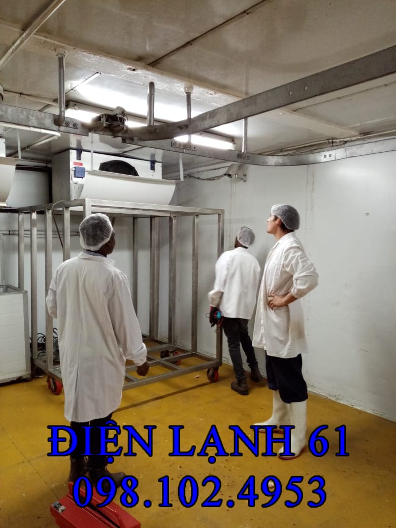 Đội ngũ kỹ thuật viên sửa kho lạnh Dĩ An của Điện Lạnh 61