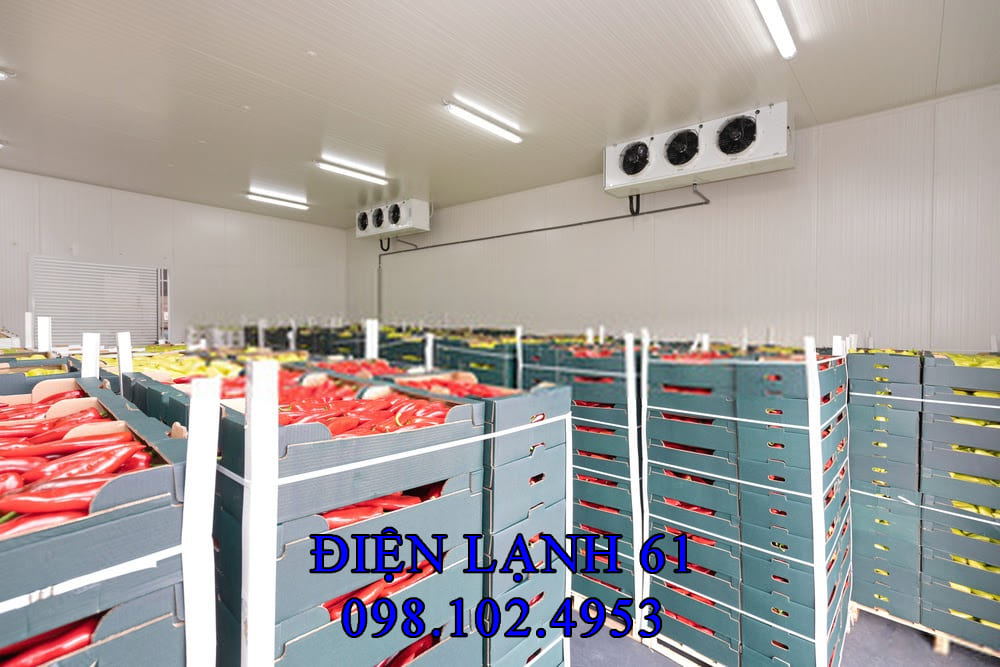 Sửa kho lạnh mini Dĩ An cho nhà hàng, siêu thị.