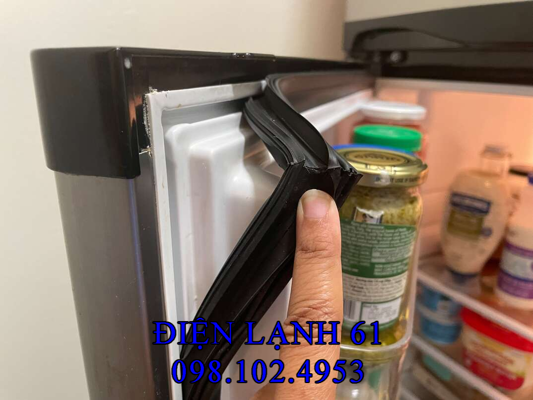 Hình ảnh ron tủ lạnh bị rách và mốc đen cần thay thế